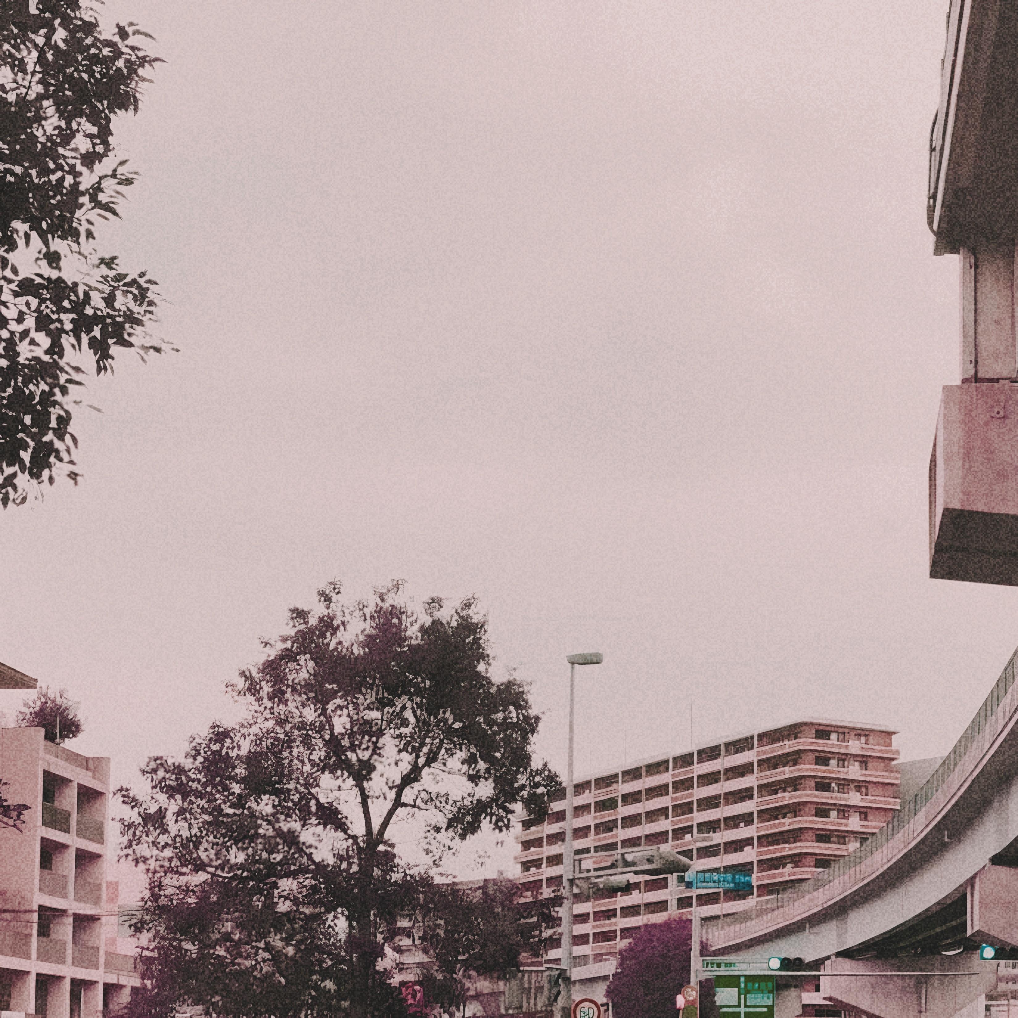 A Thousand Moments in Waiting