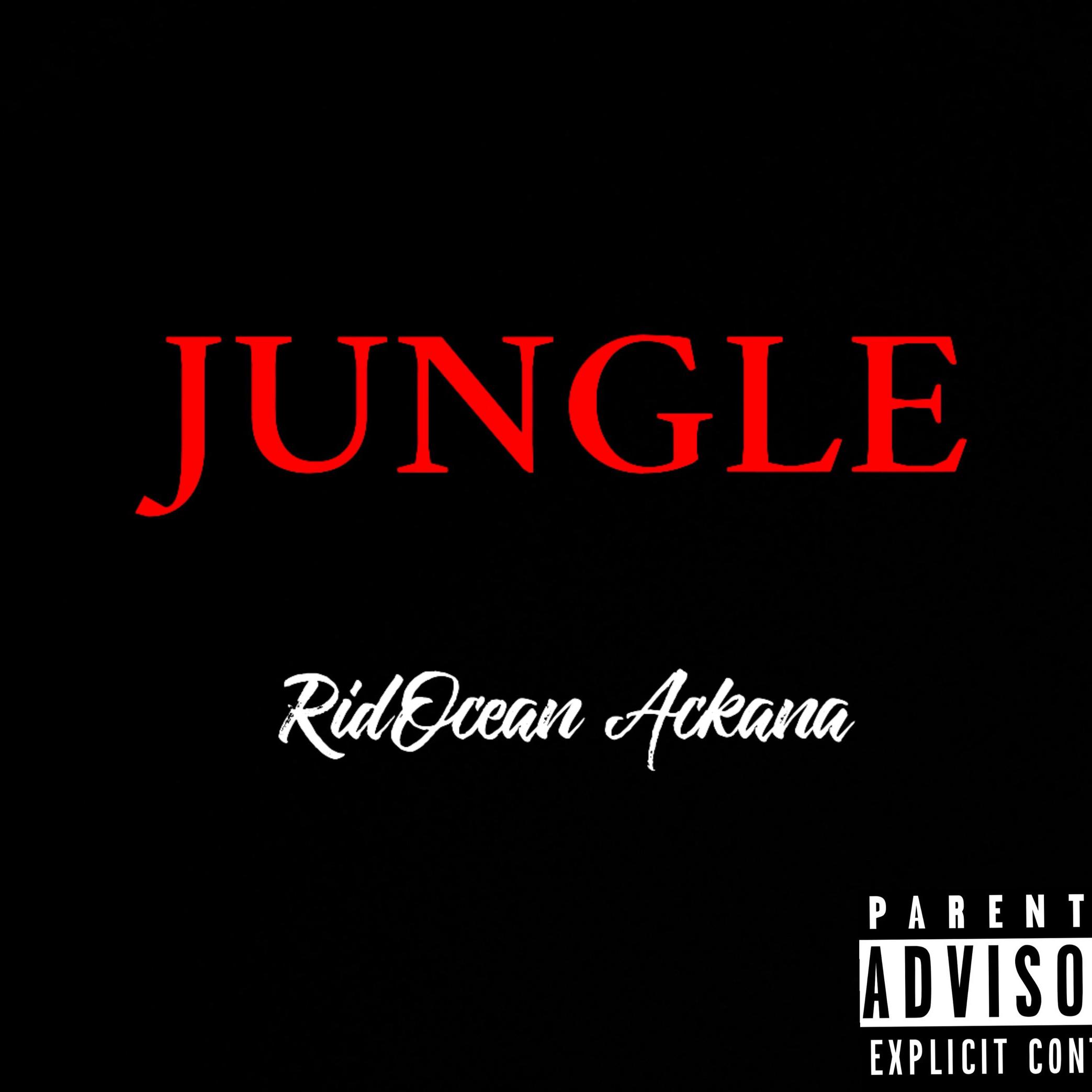 JUNGLE封面