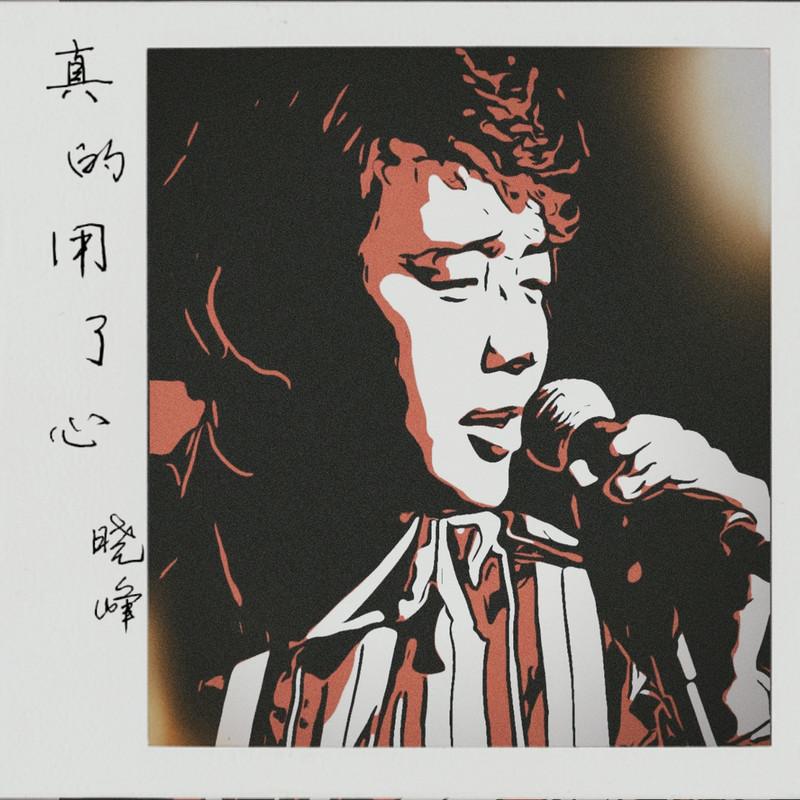 真的用了心 (DJ R7版)封面