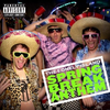 The Lonely Island - Spring Break Anthem