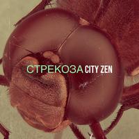 Стрекоза
