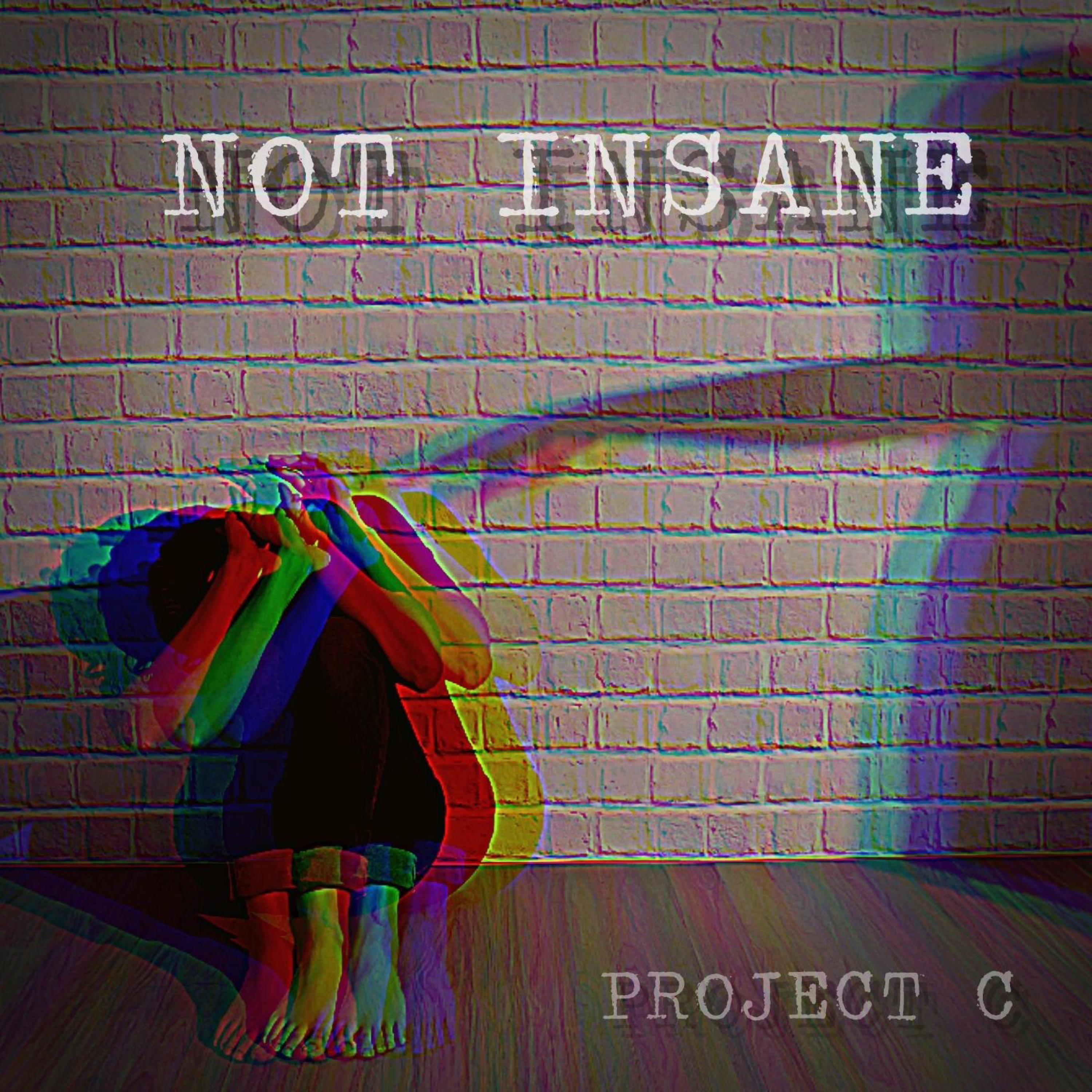 Not Insane (feat. Valeria Visconti)封面