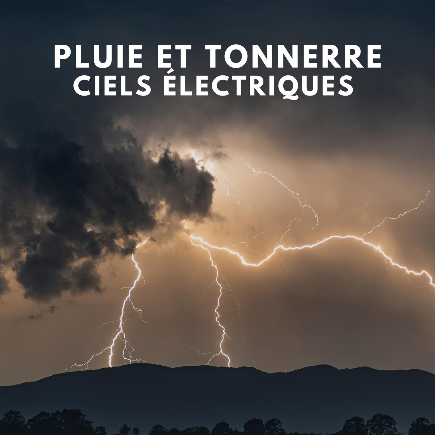 Pluie et Tonnerre: ciels électriques (41)