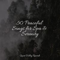50 Peaceful Songs for Spa & Serenity