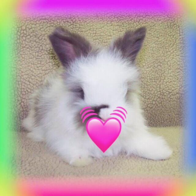 I got cool Prod by：Birds of Feather