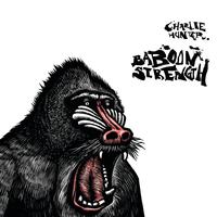 Baboon Strength