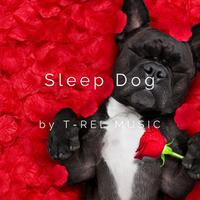 Sleep Dog资料,Sleep Dog最新歌曲,Sleep DogMV视频,Sleep Dog音乐专辑,Sleep Dog好听的歌