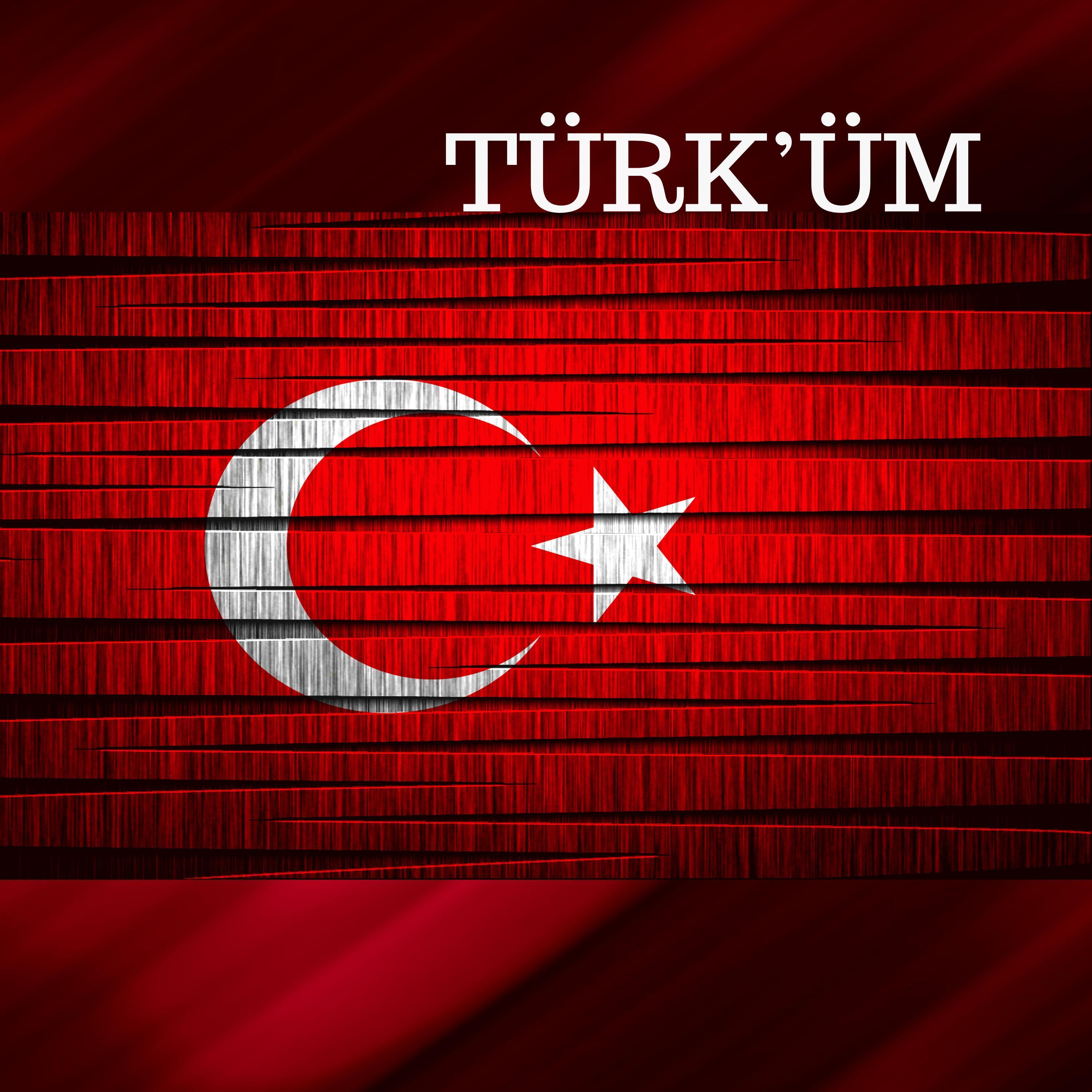 Türk'üm