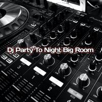 Dj Party to Night Big Room (Big Room)