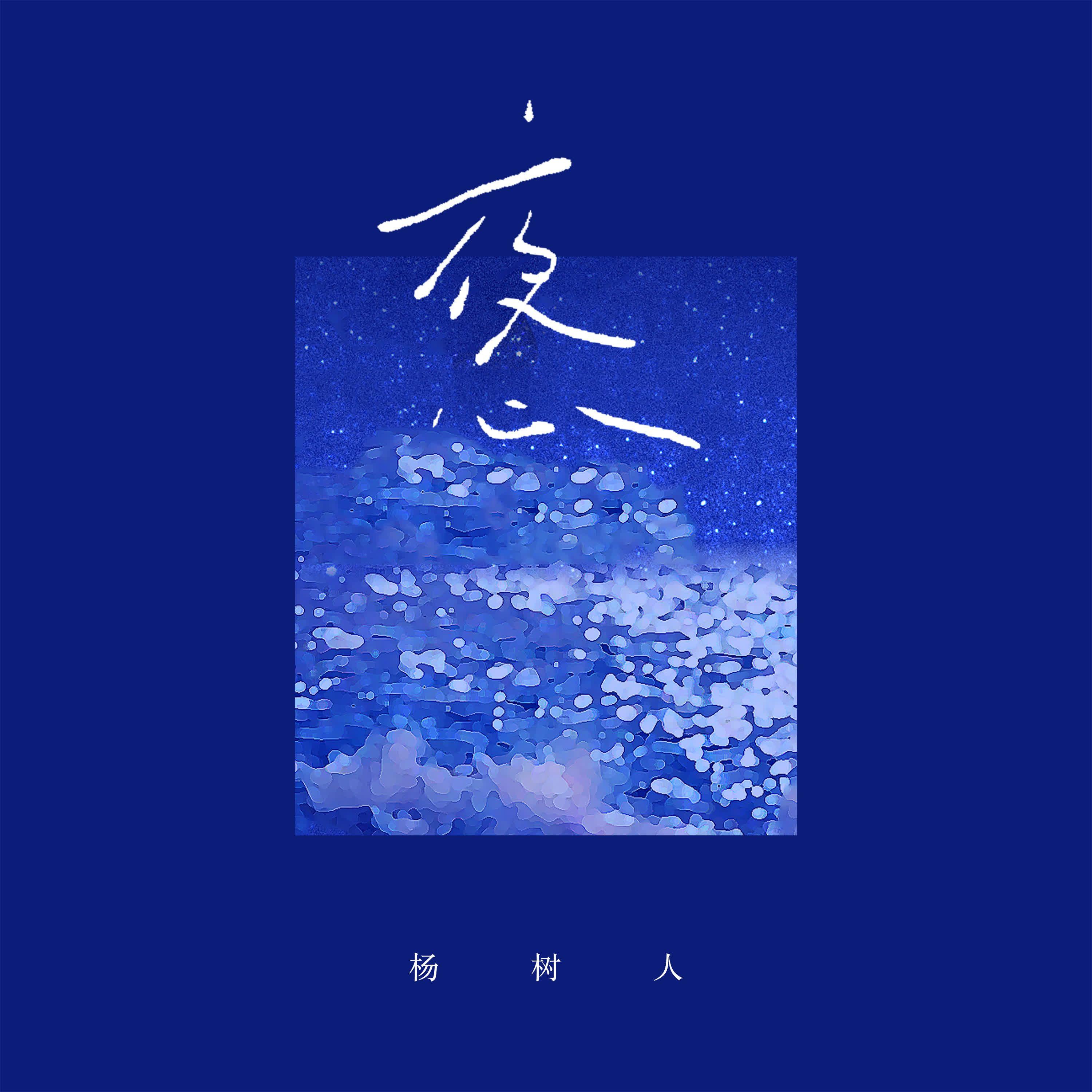 夜心(DJ版)封面