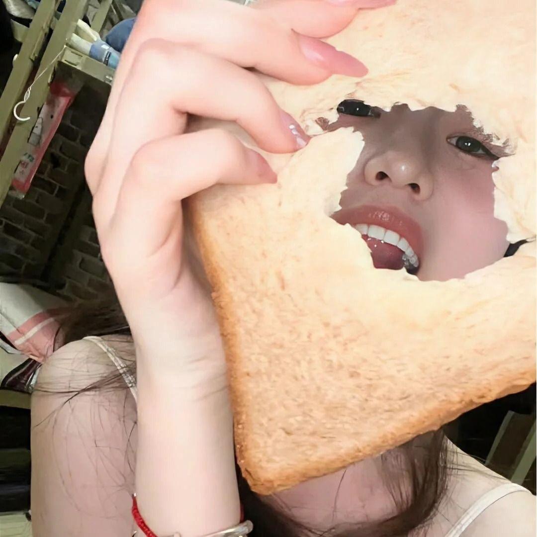 星盼相聚封面