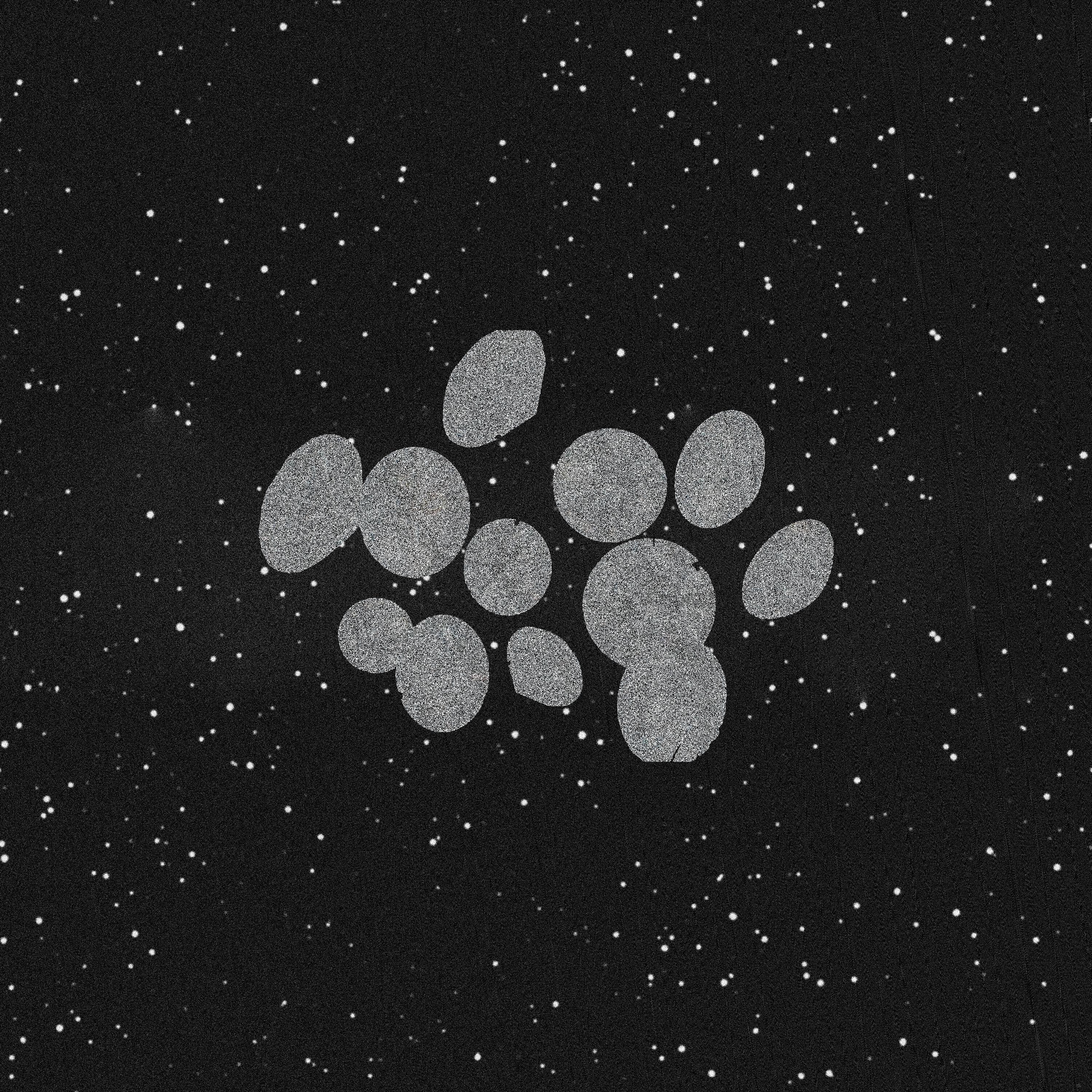 rough in the diamonds