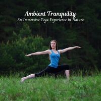 Ambient Tranquility: An Immersive Yoga Experience in Nature