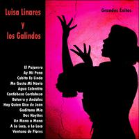 Grandes Éxitos: Luisa Linares y los Galindos