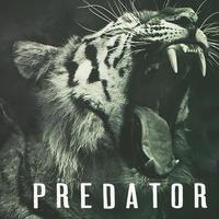 Predator