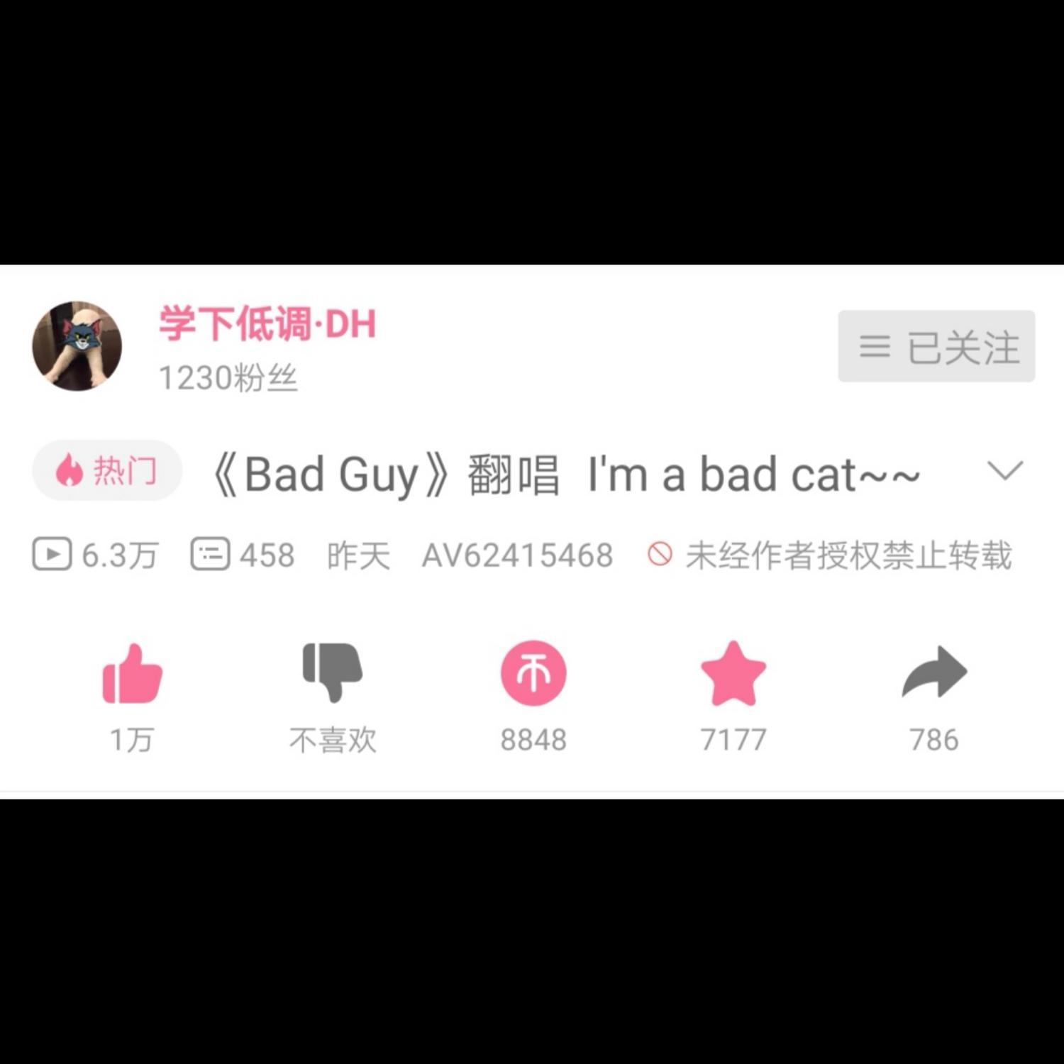 bad cat (bad guy)