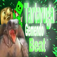 Tartaruga Gemendo