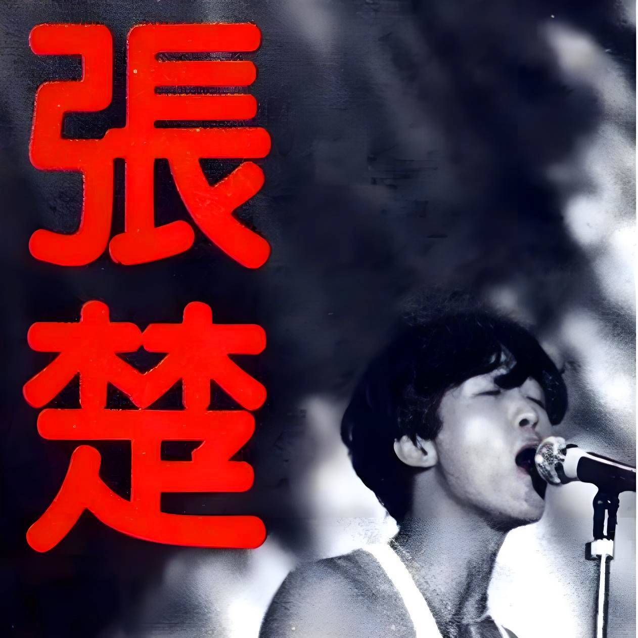 西出阳关_张楚_一颗不肯媚俗的心 | 在线播放_西出阳关歌词_西出阳关下载 | 网易云音乐