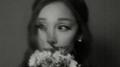 petal – the a cappellas专辑