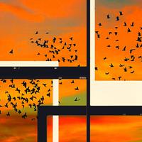 Lomography Flutter