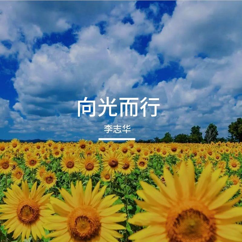 向光而行 伴奏封面