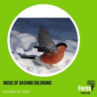 Music of Dashing Doldrums - Sounds of Wind