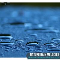 Nature Rain Melodies - The Blissful Rainfall Sounds of 2020