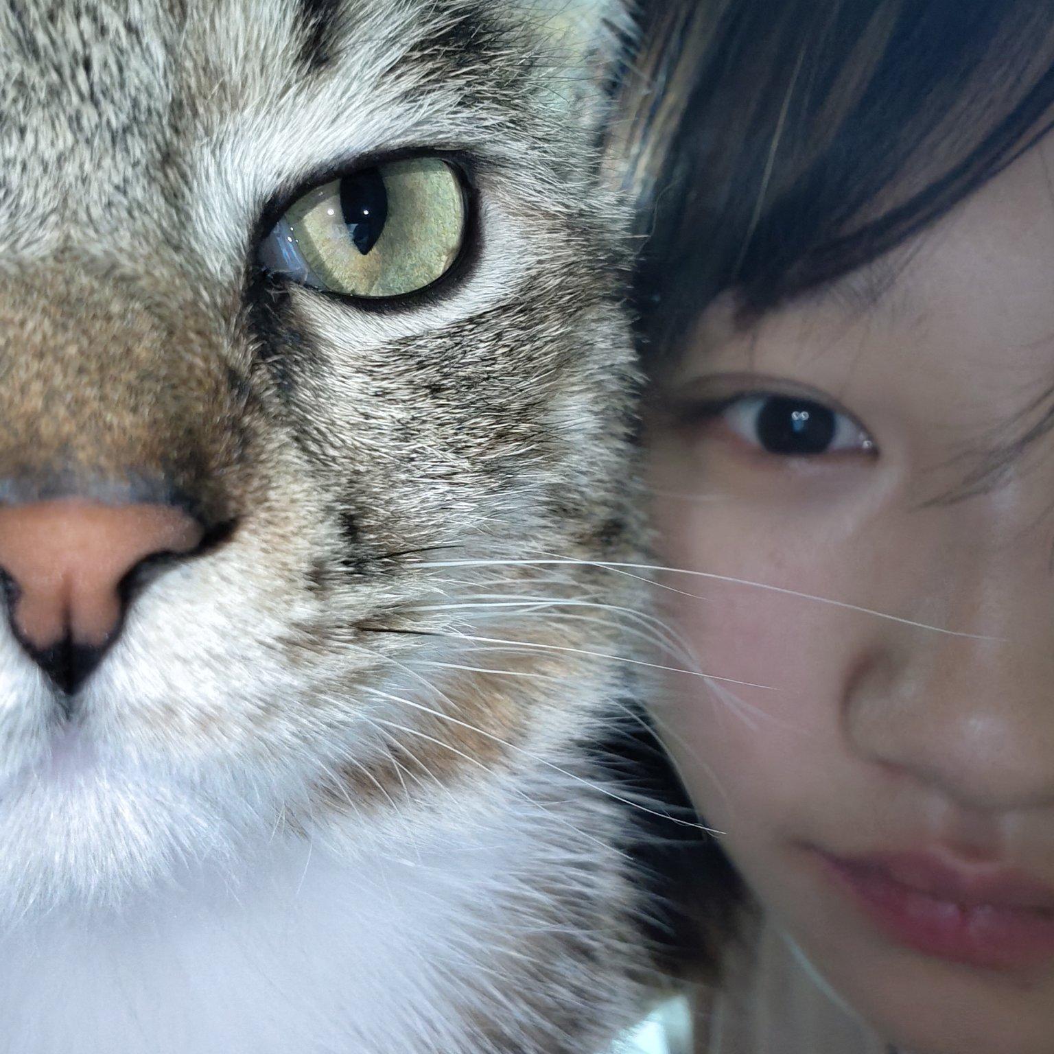 好好听个歌的枸杞