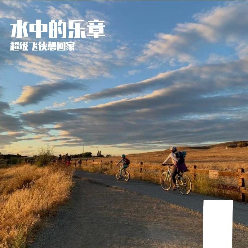 微风之歌封面