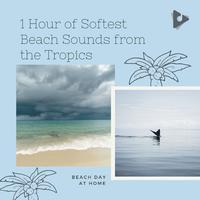 1 Hour of Softest Beach Sounds from the Tropics