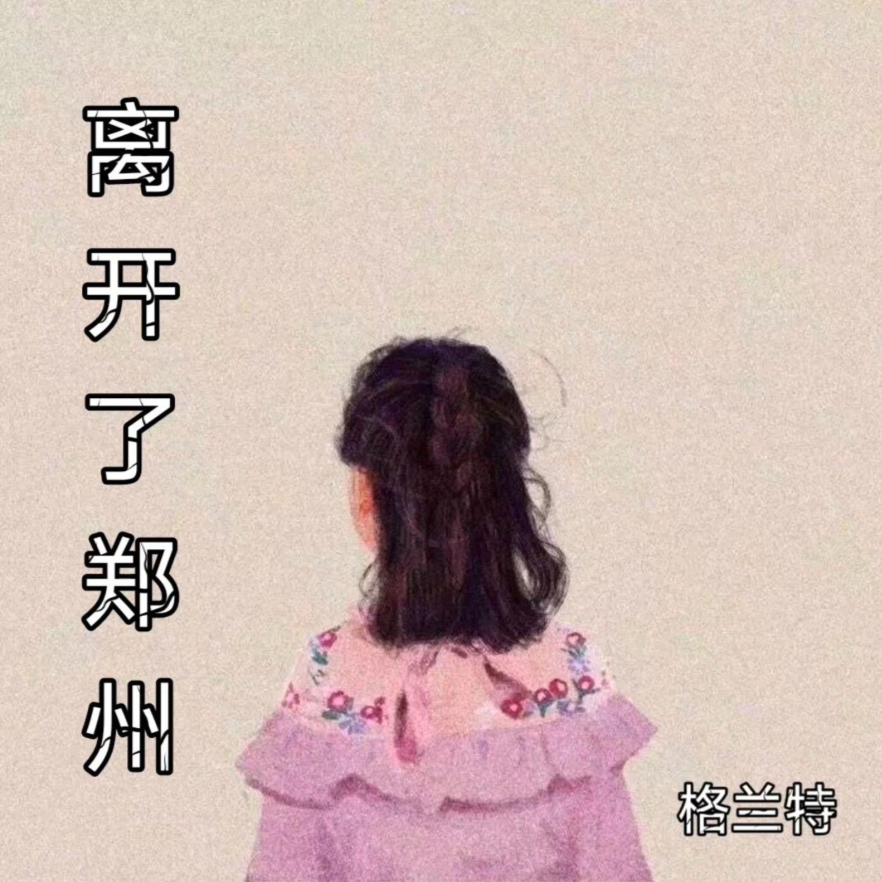 离开了郑州封面