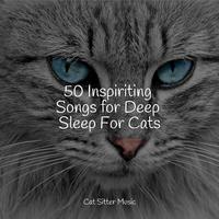 50 Inspiriting Songs for Deep Sleep For Cats