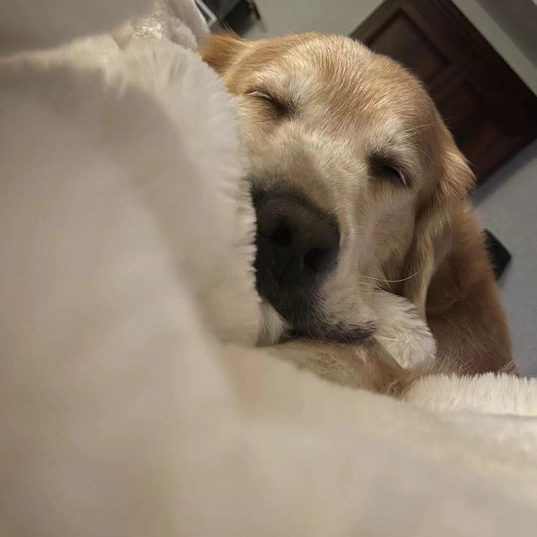 Hawaii baby(Prod By WonDaBoi)