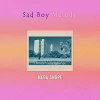 SAD BOY MELODY