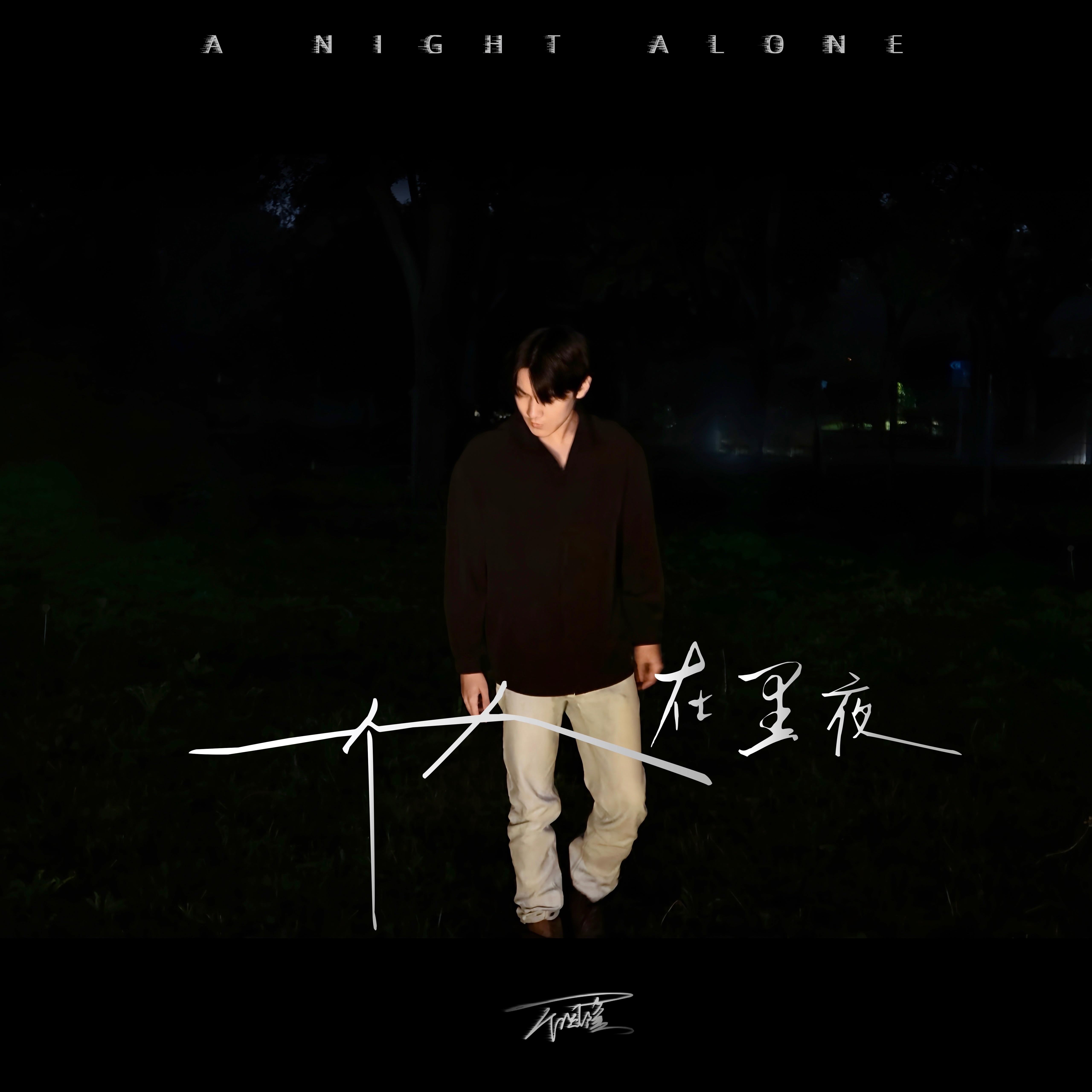 一个人在黑夜封面