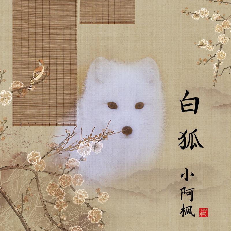 白狐(DJ版)封面