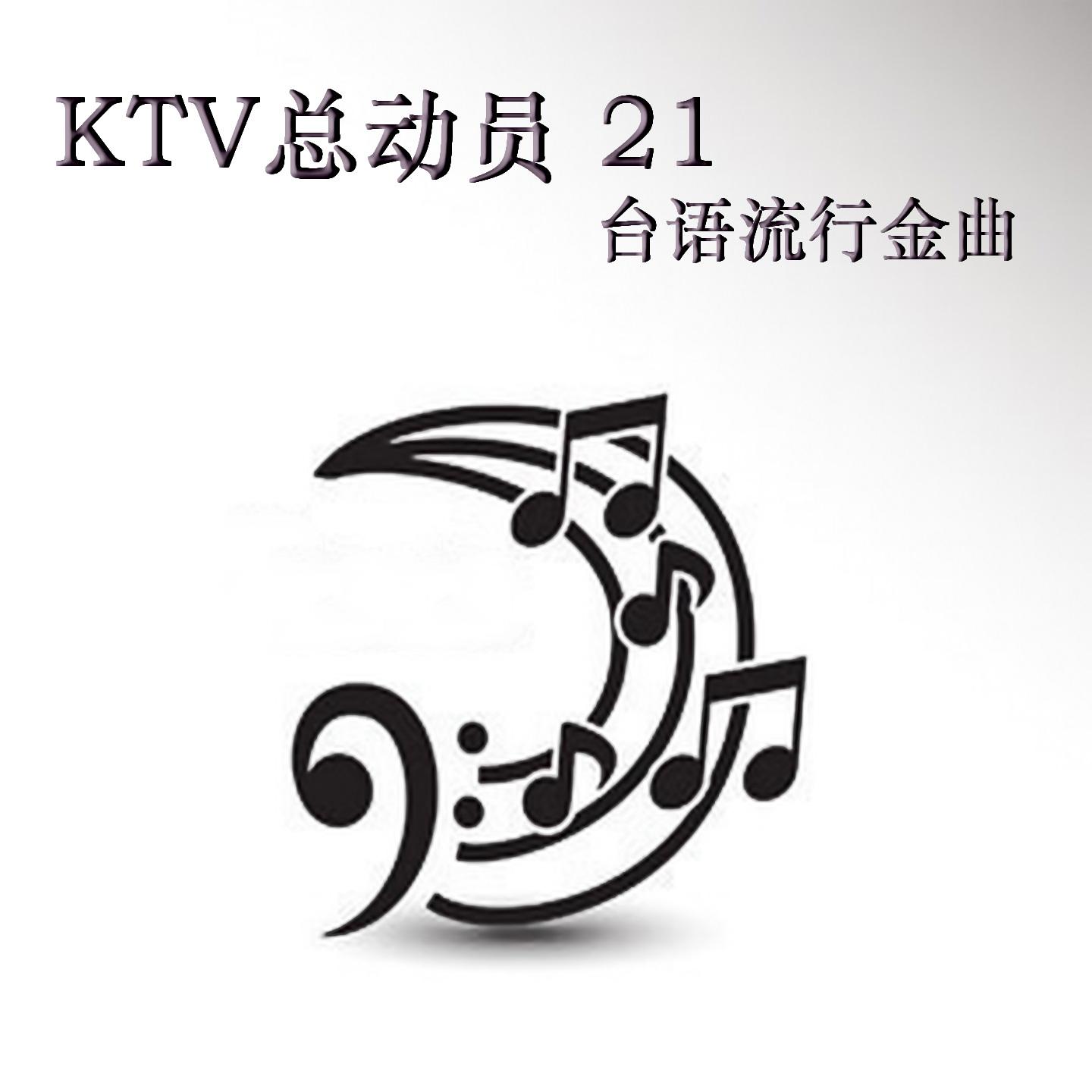 有梦你会红封面