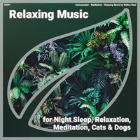 ! #0001 Relaxing Music for Night Sleep, Relaxation, Meditation, Cats & Dogs