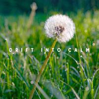 Drift into Calm: Nature Soundscapes for Instant Mind Regeneration and Relaxation