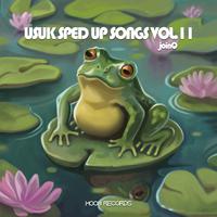 USUK SPED UP SONGS VOL.11