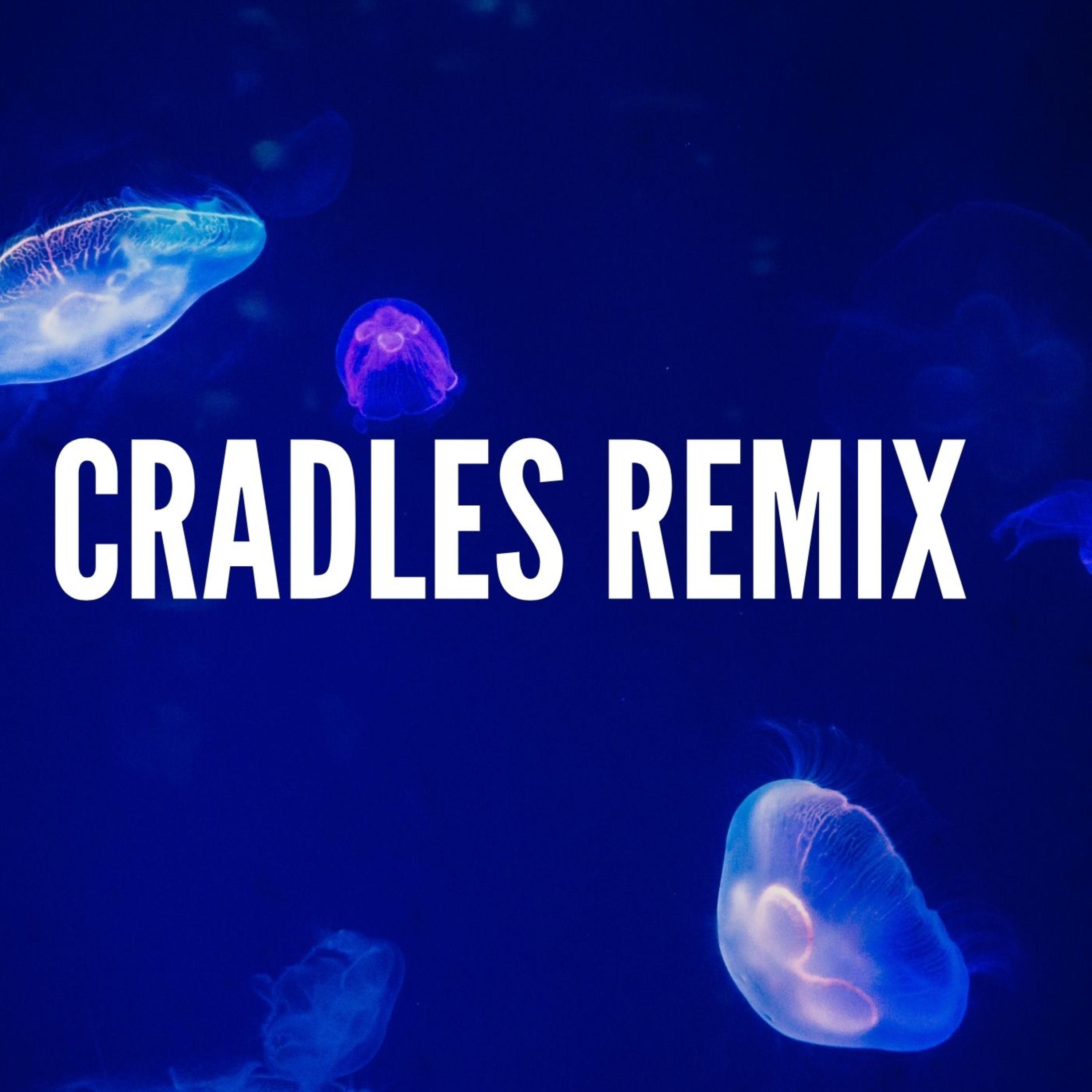 Cradles Remix封面