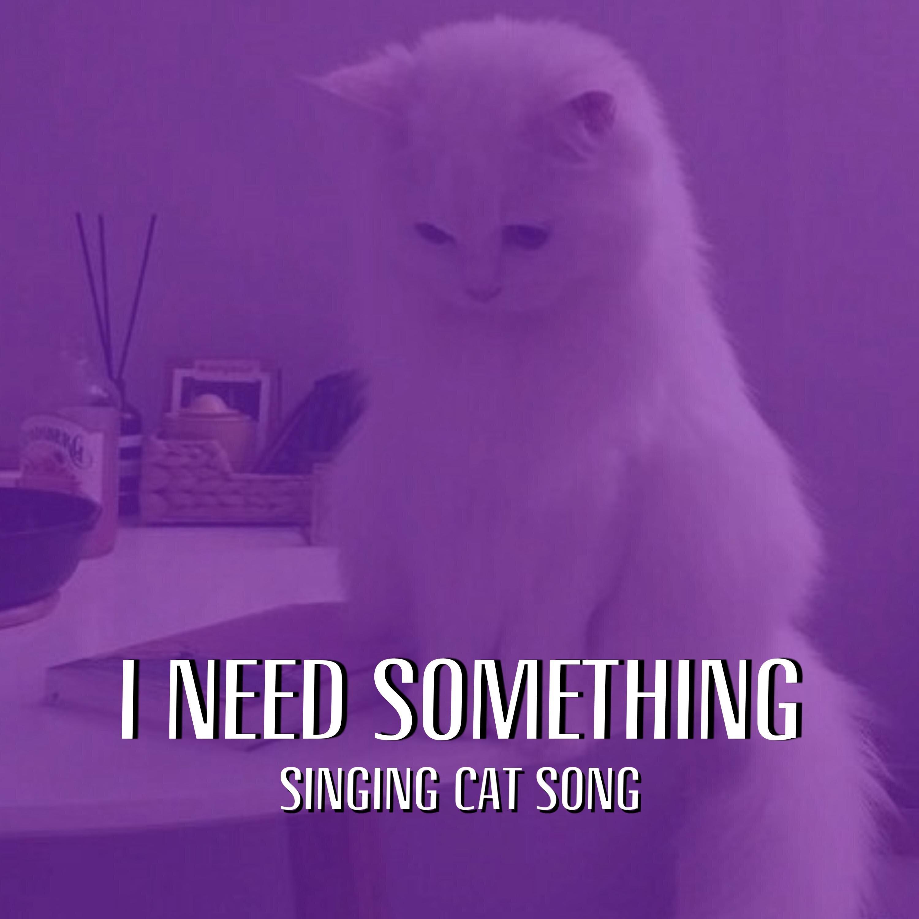 I Need Something (Singing Cat Song Tiktok)