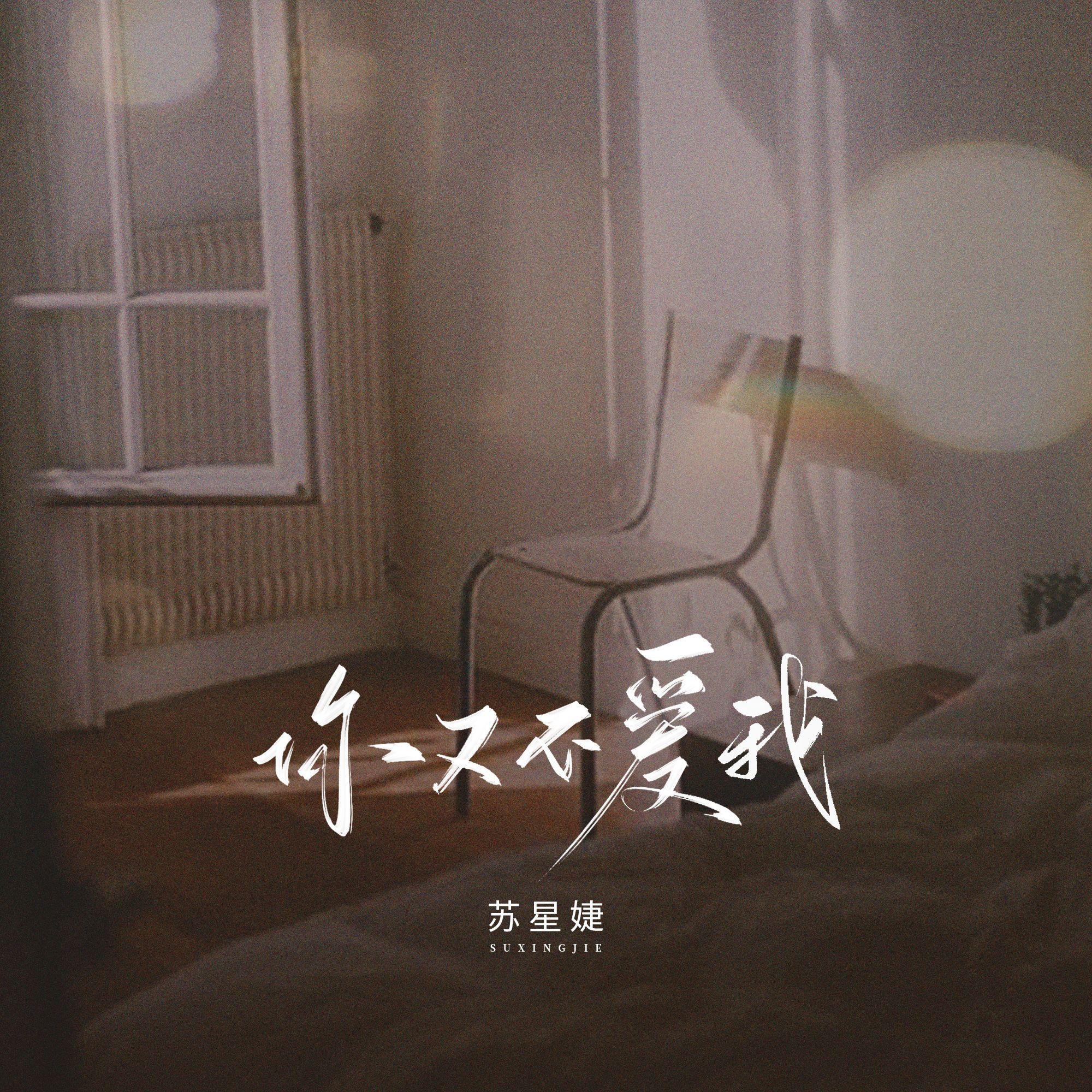 你又不爱我_苏星婕_你又不爱我 | 在线播放_你又不爱我歌词_你又不爱我下载 | 网易云音乐