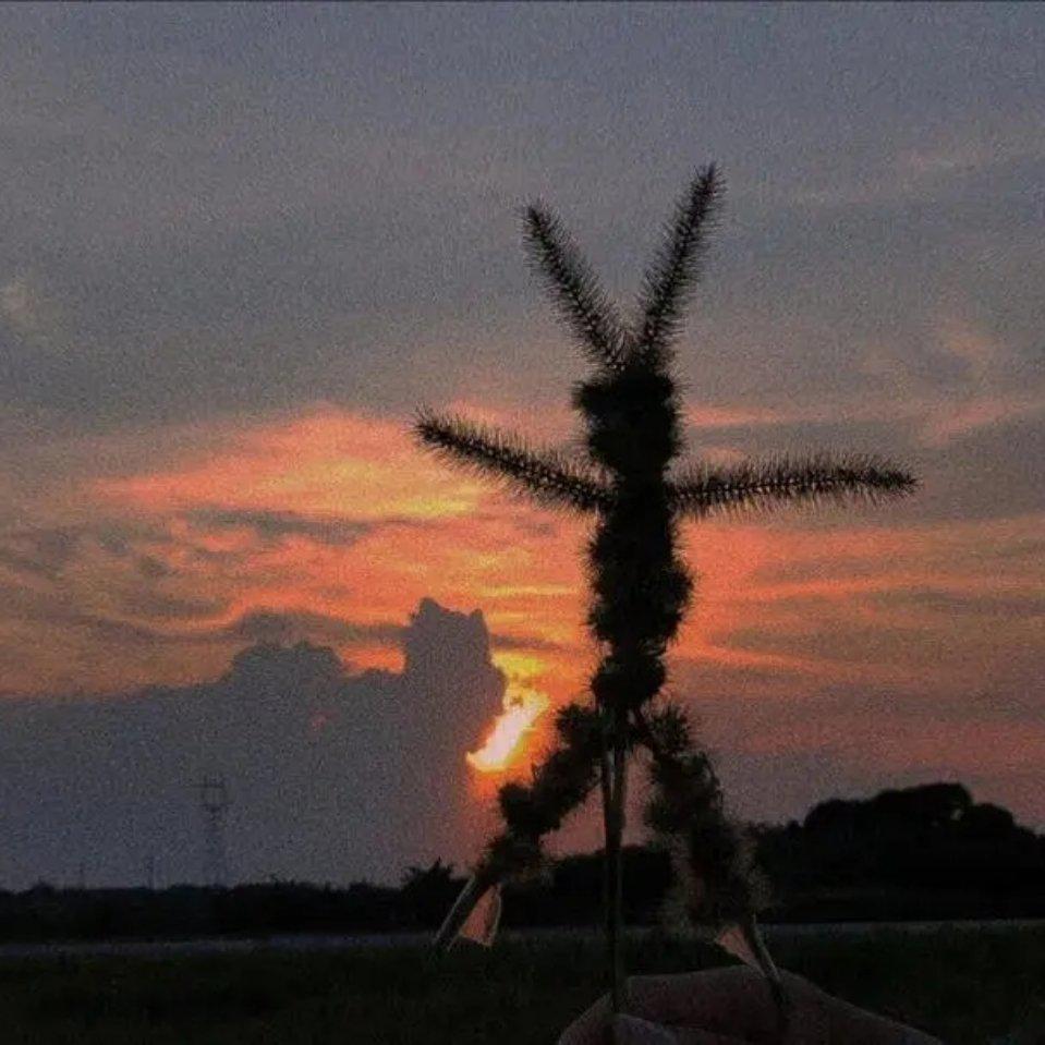 i know u so well，i been pretty(n ss!ω