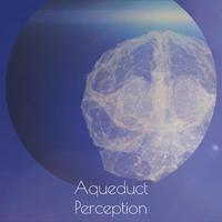 Aqueduct Perception