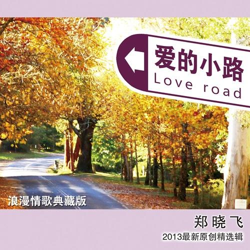 爱的小路封面