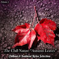 The Chill Nature Autumn Leaves, Vol. 3