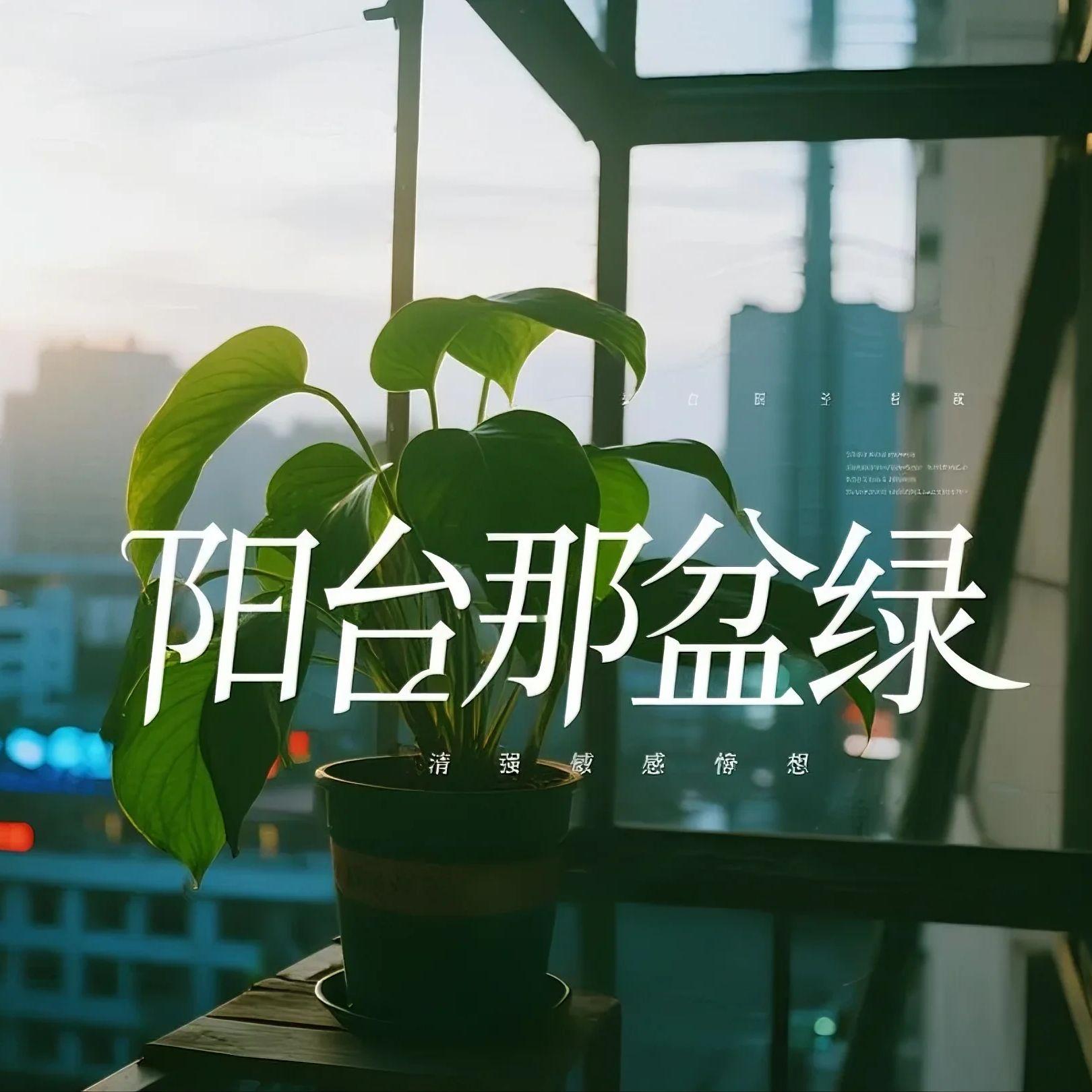 拿铁凉了封面