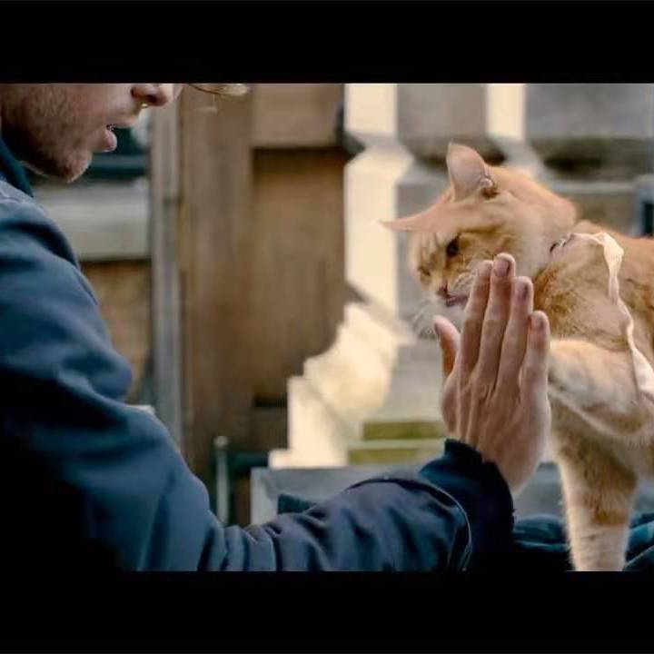 Hello and echo_神秘的小鸡蛋_Hello and echo | 在线播放_Hello and echo歌词_Hello and echo下载 | 网易云音乐