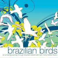 Brazilian Birds